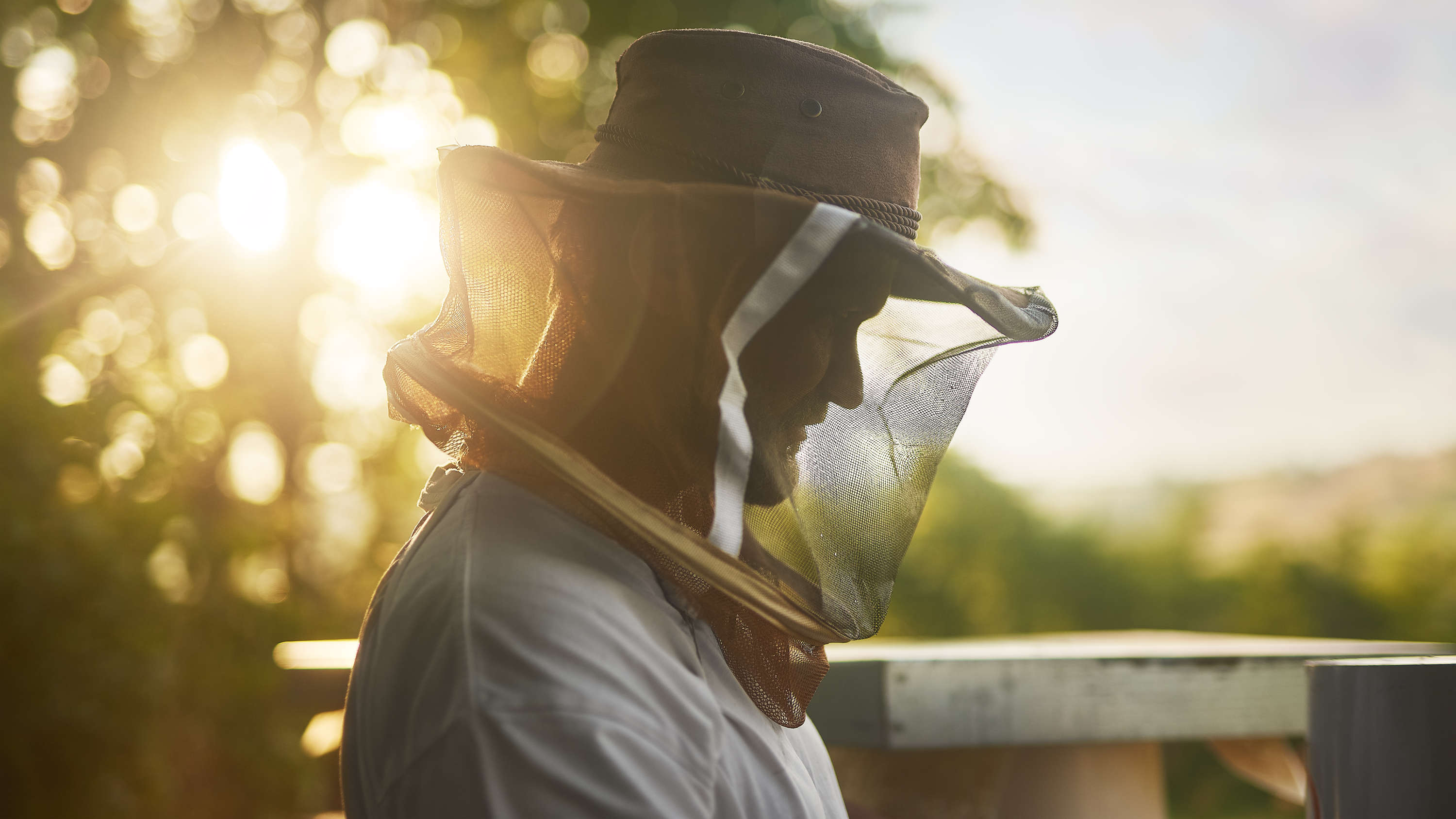 Dokumentární serie o včelaři