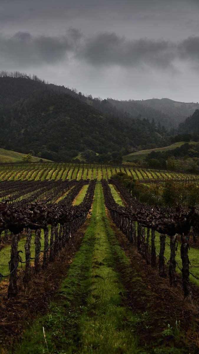 Napa Valley and San Francisco