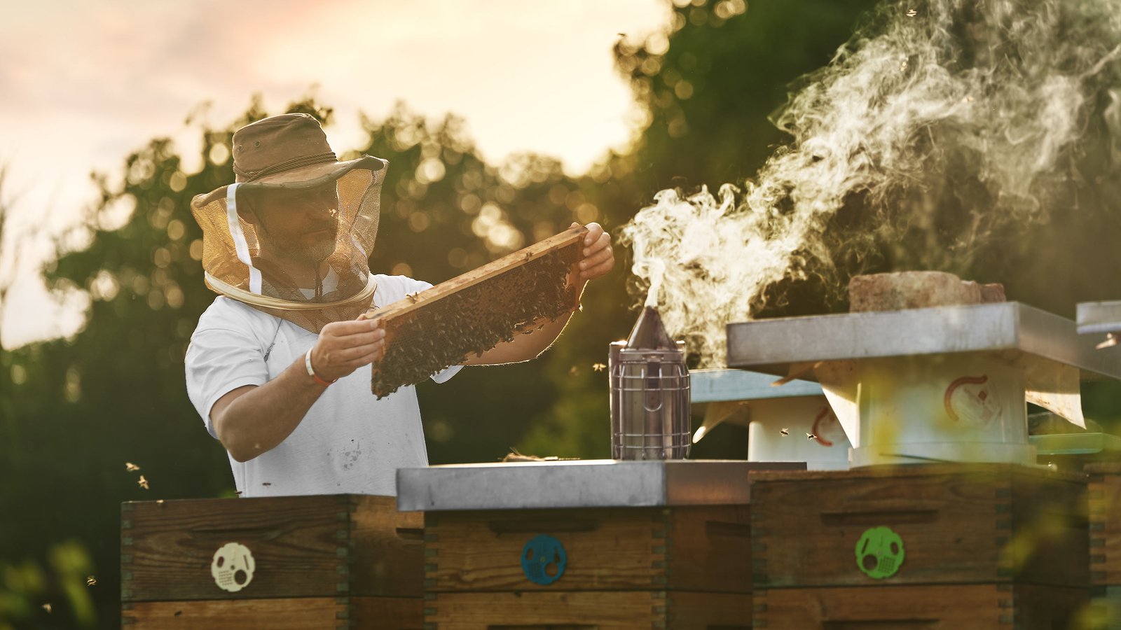 Beekeeper documentary