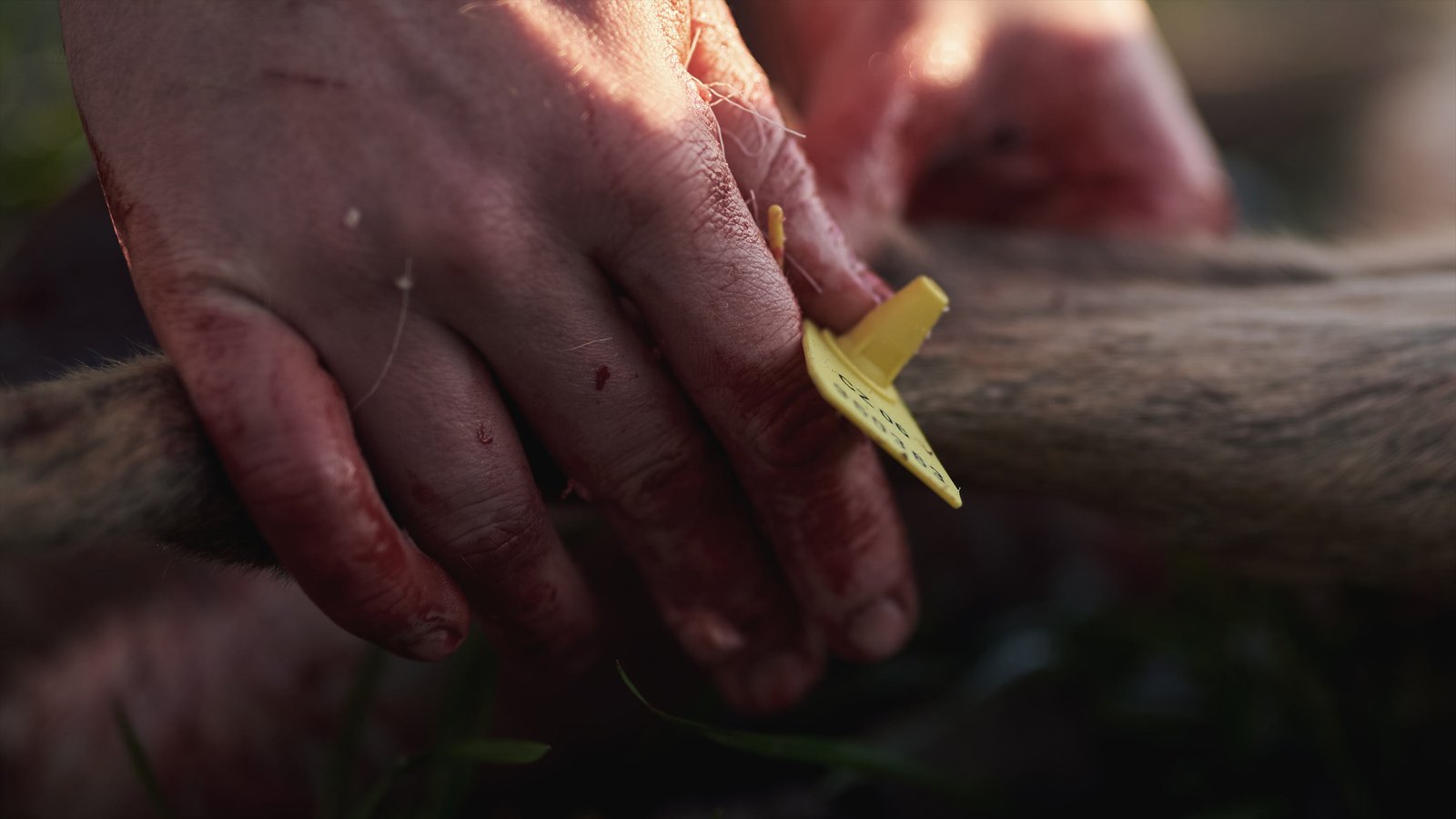 Hunter documentary